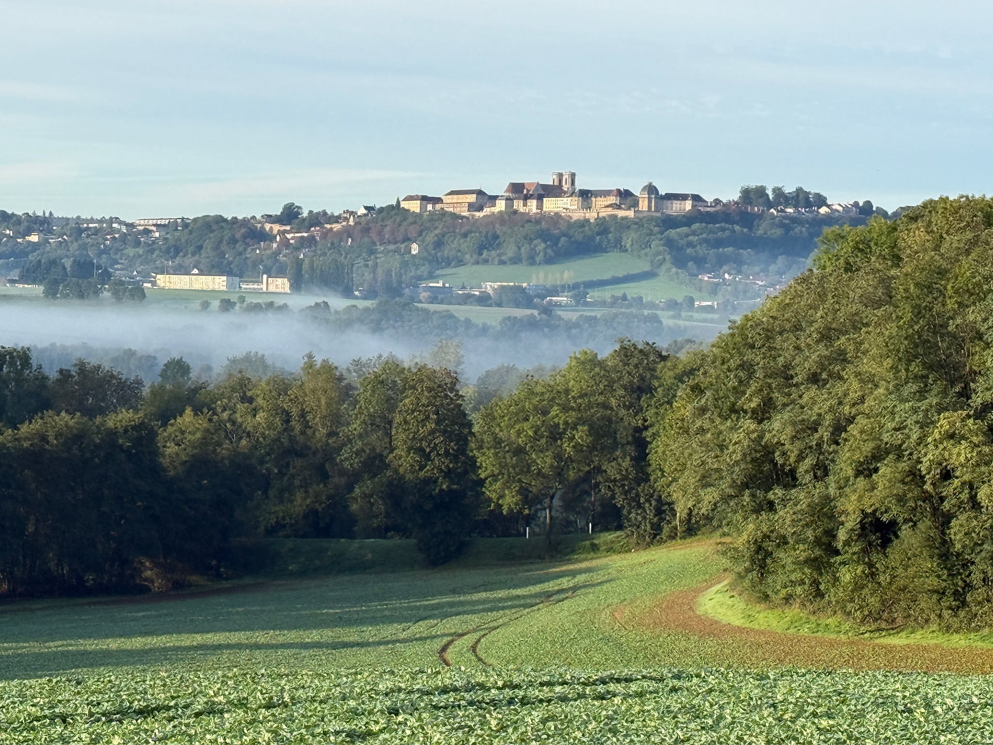 Im Nebel ruhet noch die Welt…
Noch 63 Tage – 2. Tag