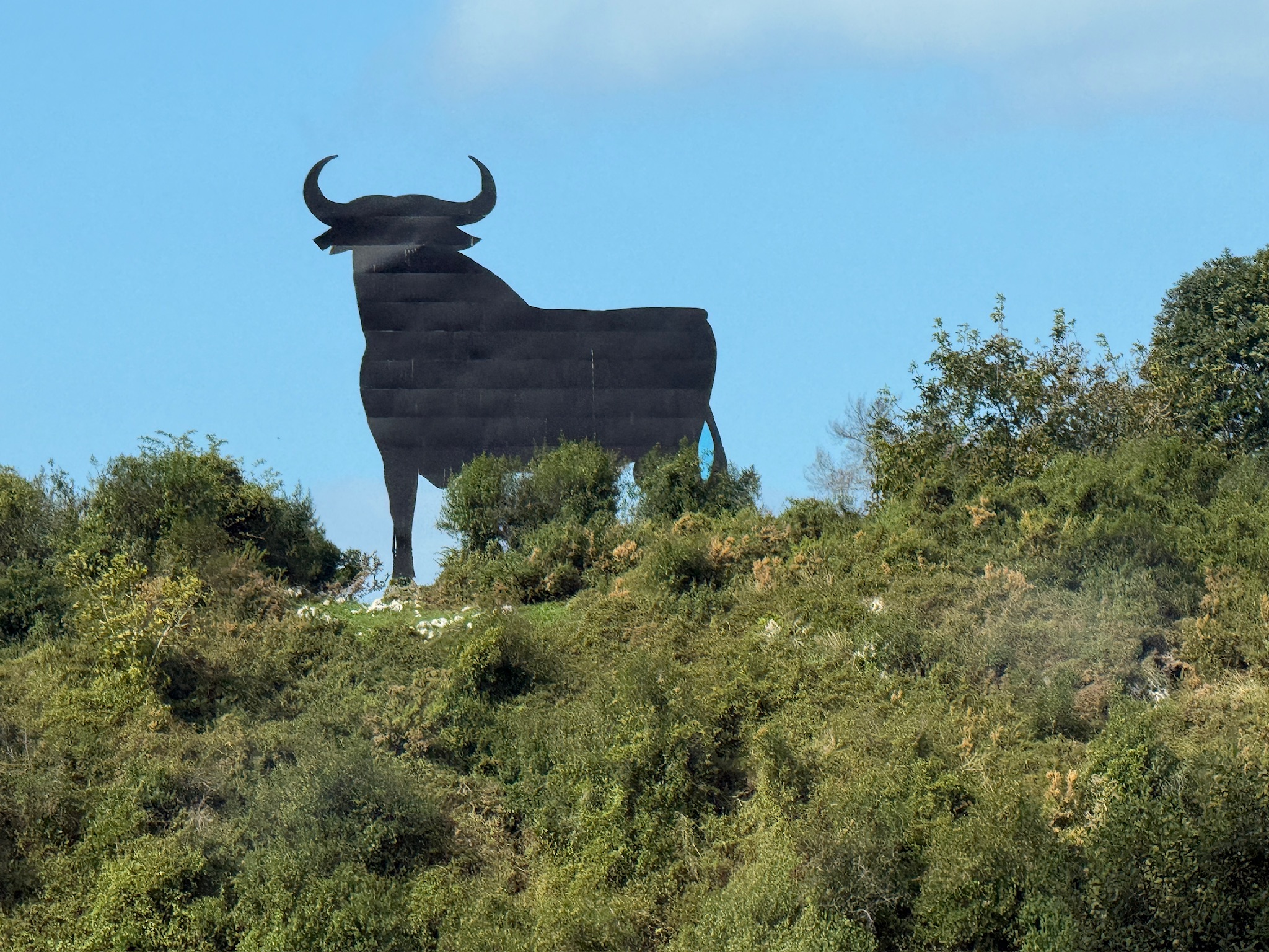 Der Osborne-Stier – Noch 51 Tage – 14. Tag