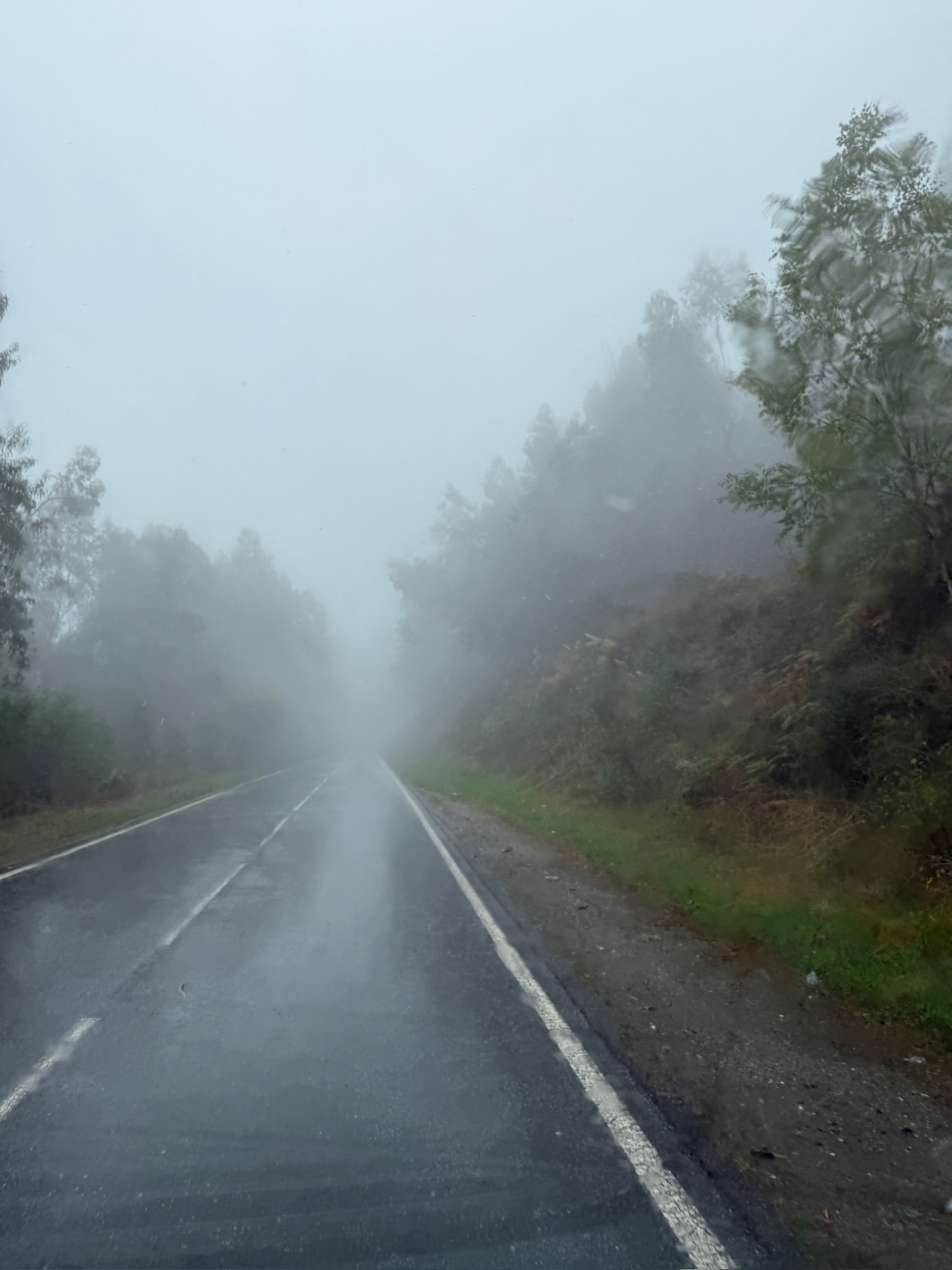 Es regnet! – Noch 42 Tage – 23. Tag