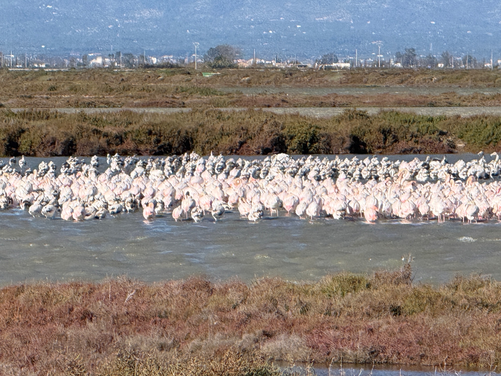 Unterwegs im Ebro-Delta – Noch 9 Tage – 56. Tag